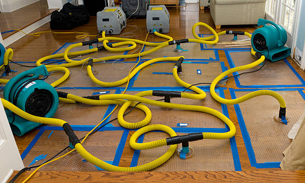 Professional Flood Damage Restoration technician working in Lake, MI